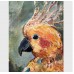 Parrots -exotic oil painting 
